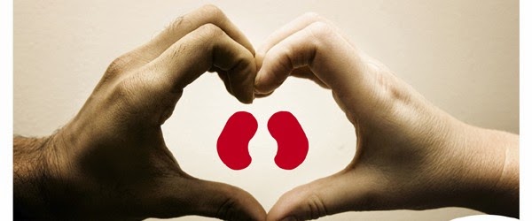Save a Life by Donating Kidney Daily Bees